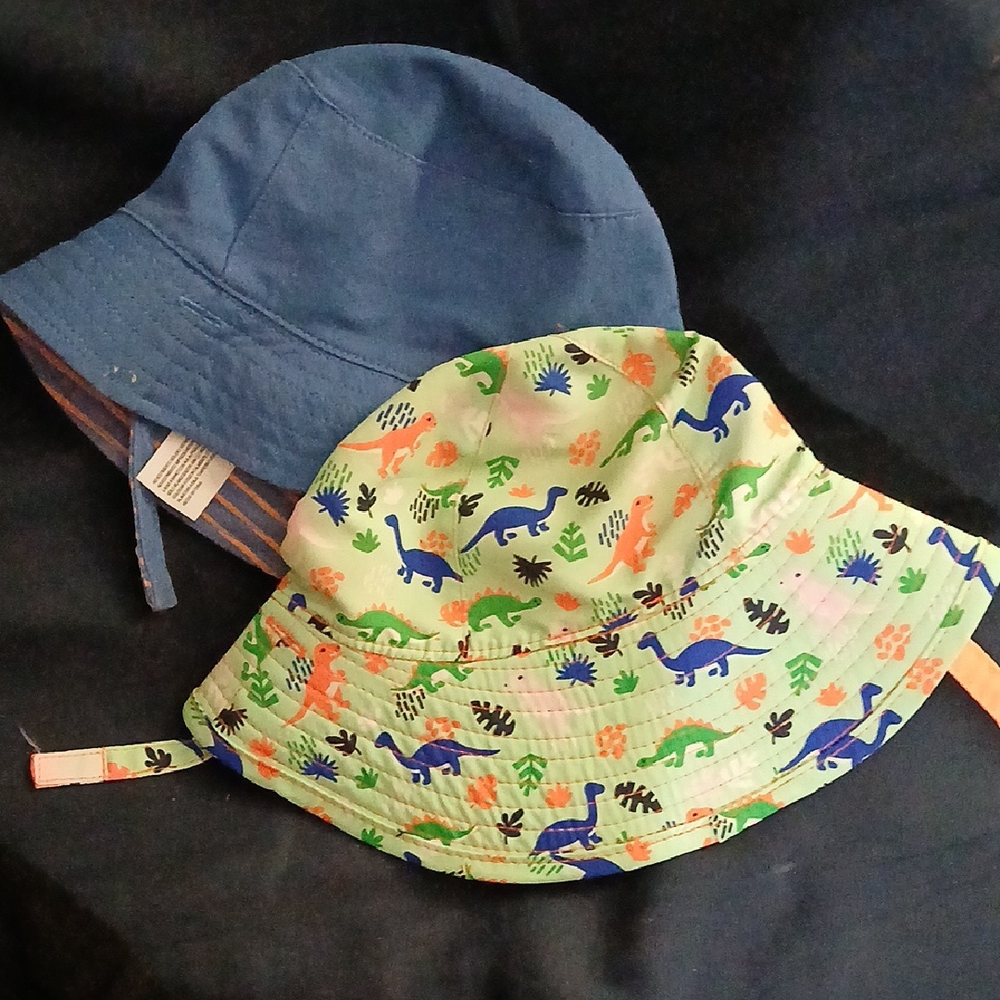 Kids' Dinosaur and Blue Bucket Hats